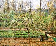 Women in the spring of the fence